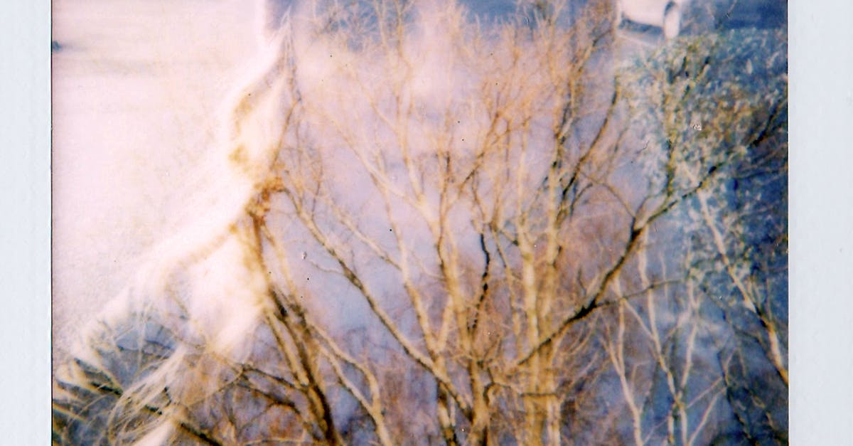 How To Stop Scalp Inflammation And Soreness? Merelta