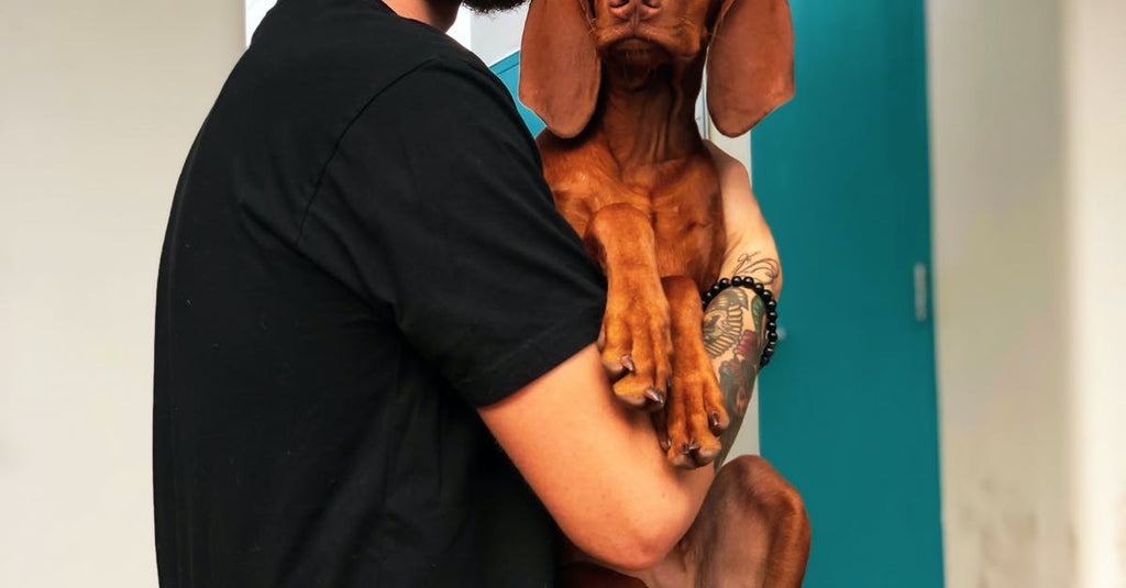 What Is The Difference Between Psoriasis And Seborrheic Dermatitis?