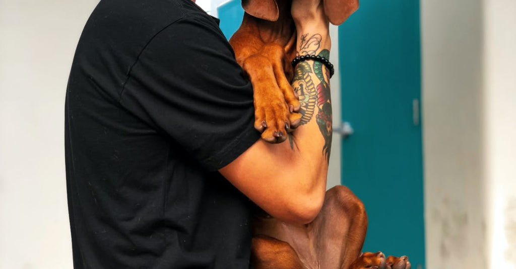 Is Scalp Psoriasis An Autoimmune Disease?